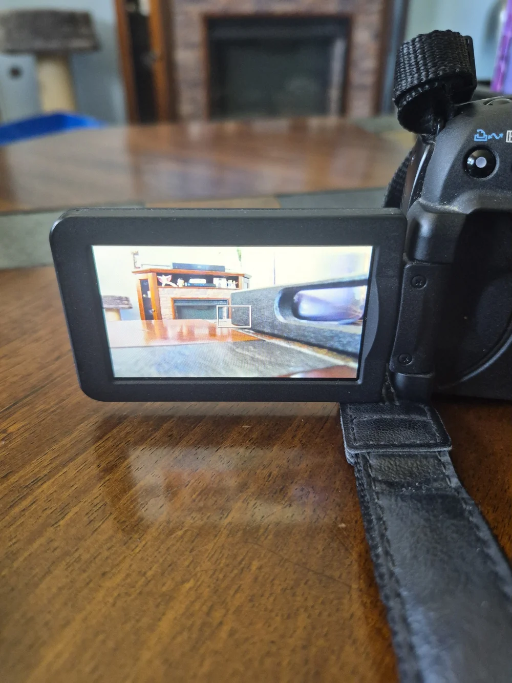 Canon powershot sx1